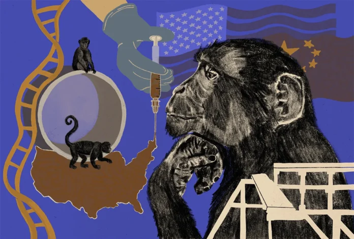 Vírus que infectou ancestrais há 5 milhões de anos deixou 158 cópias no DNA de chimpanzés e desligou um gene cerebral que humanos usam Vírus que infectou ancestrais há 5 milhões de anos deixou 158 cópias no DNA de chimpanzés e desligou um gene cerebral que humanos usam