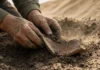 Maior duna da Europa esconde floresta e oficina de sal de 2.500 anos; erosão revela vestígios e ameaça apagar uma descoberta arqueológica muito rara