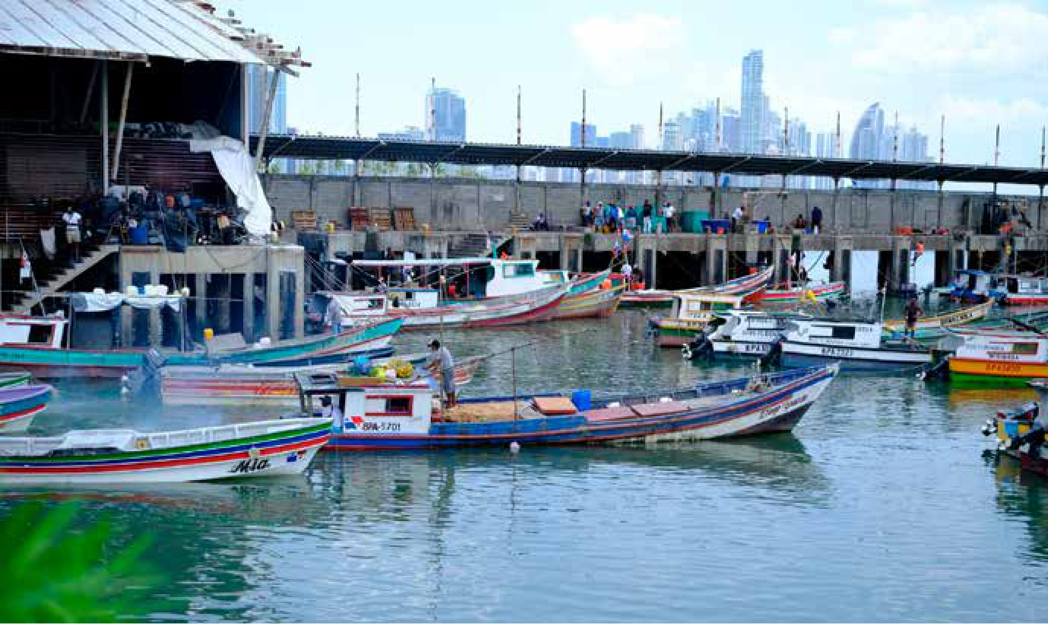 El Niño afasta peixes e esvazia redes no Pacífico latino-americano 2 Lanchas de pescadores artesanais junto ao Mercado de Mariscos, na Cidade do Panamá. O mercado abastece supermercados da capital e já recebe menos pescado.
