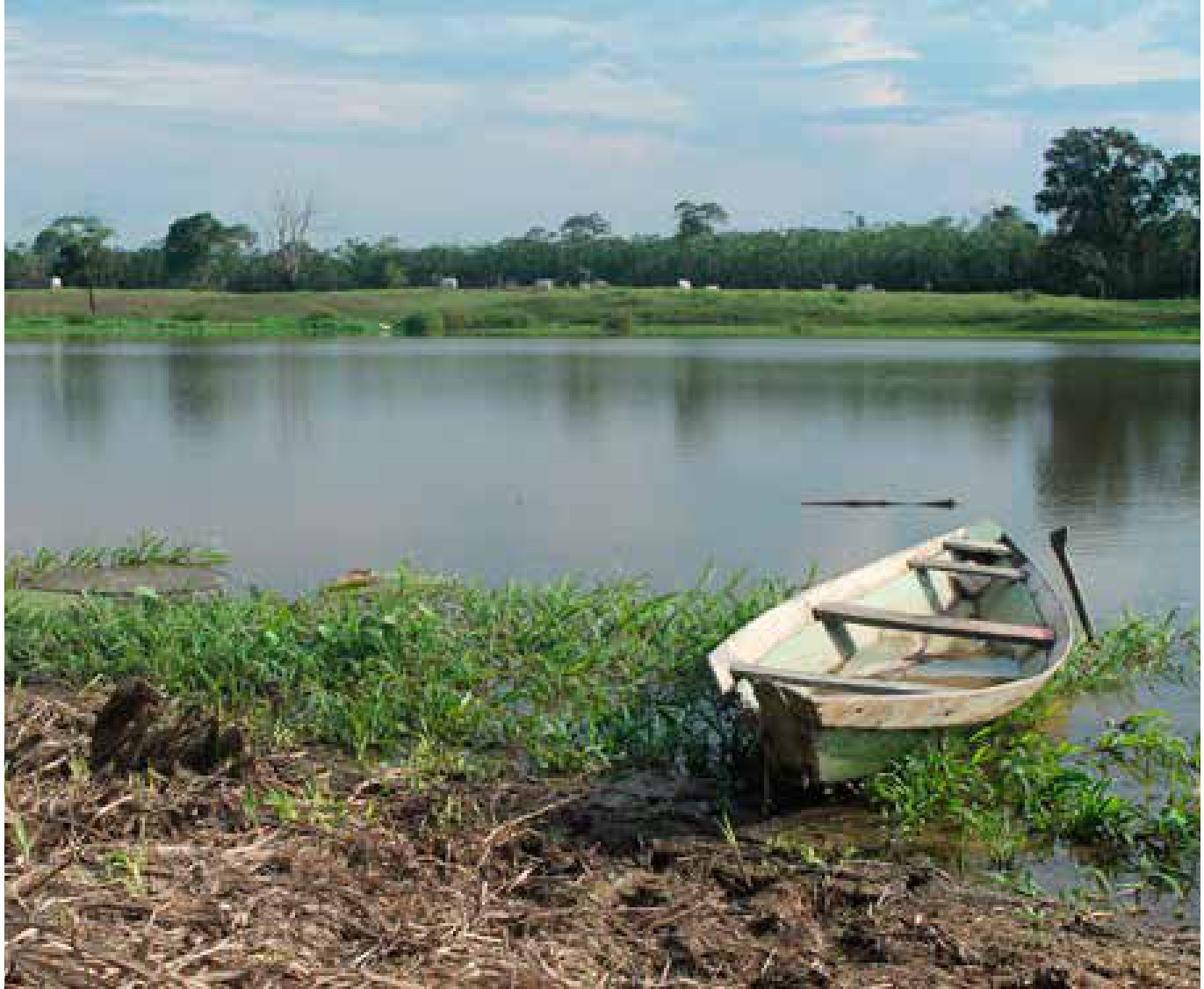 El Niño afasta peixes e esvazia redes no Pacífico latino-americano 5 Pequeno lago isolado do rio Solimões pela descida das águas na seca de 2023. Peixes e até um jacaré ficaram aprisionados ali.