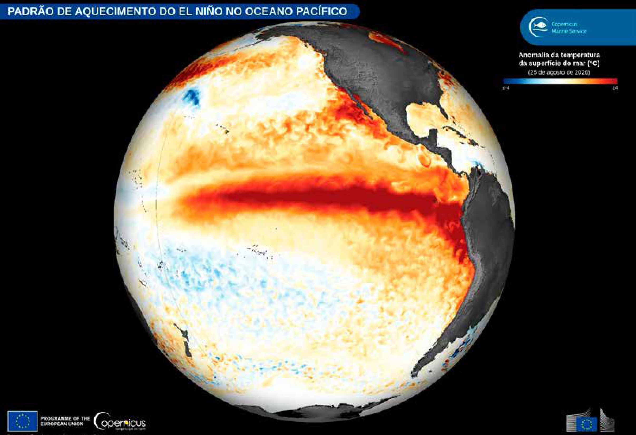 El Niño afasta peixes e esvazia redes no Pacífico latino-americano 1 Anomalia da temperatura da superfície do mar em 25 de agosto de 2026. A faixa vermelho-escura ao longo do Pacífico equatorial, colada ao litoral do Equador e do Peru, marca o aquecimento provocado pelo El Niño.