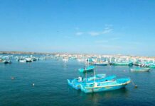 El Niño afasta peixes e esvazia redes no Pacífico latino-americano Barcos de pesca artesanal fundeados no porto de Anconcito, no Equador