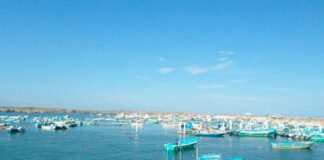El Niño afasta peixes e esvazia redes no Pacífico latino-americano Barcos de pesca artesanal fundeados no porto de Anconcito, no Equador