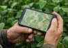 Europa transforma cada fazenda em um ponto no mapa e, a partir de 2026, soja e carne sem coordenadas podem perder acesso ao mercado Texto colado