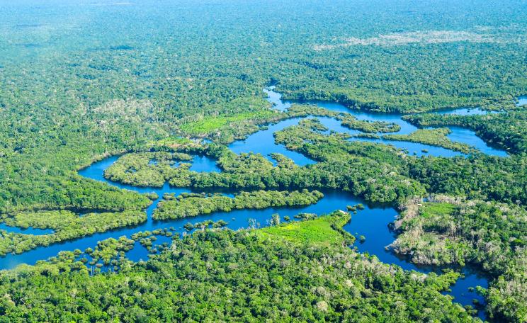 Bioeconomia amazônica atrai investimentos, mas comunidades ainda podem perder o controle sobre seus saberes 1 Bioeconomia amazônica atrai investimentos, mas comunidades ainda podem perder o controle sobre seus saberes