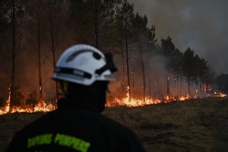 Oeste da Europa tem verão mais quente já registrado, 13 dias de estresse extremo e colheitas perdidas 1 Oeste da Europa tem verão mais quente já registrado, 13 dias de estresse extremo e colheitas perdidas