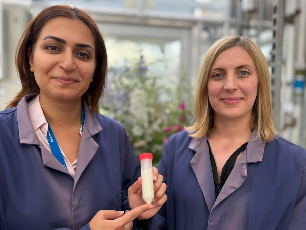 Abelhas carregam vírus que combatem bactérias e protegem flores de cerejeira contra doenças 1 Abelhas carregam vírus que combatem bactérias e protegem flores de cerejeira contra doenças