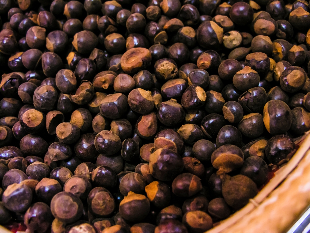 Casca do guaraná vira fonte de cafeína com solvente de açúcar e corta etapas tóxicas na extração 1 Casca do guaraná vira fonte de cafeína com solvente de açúcar e corta etapas tóxicas na extração