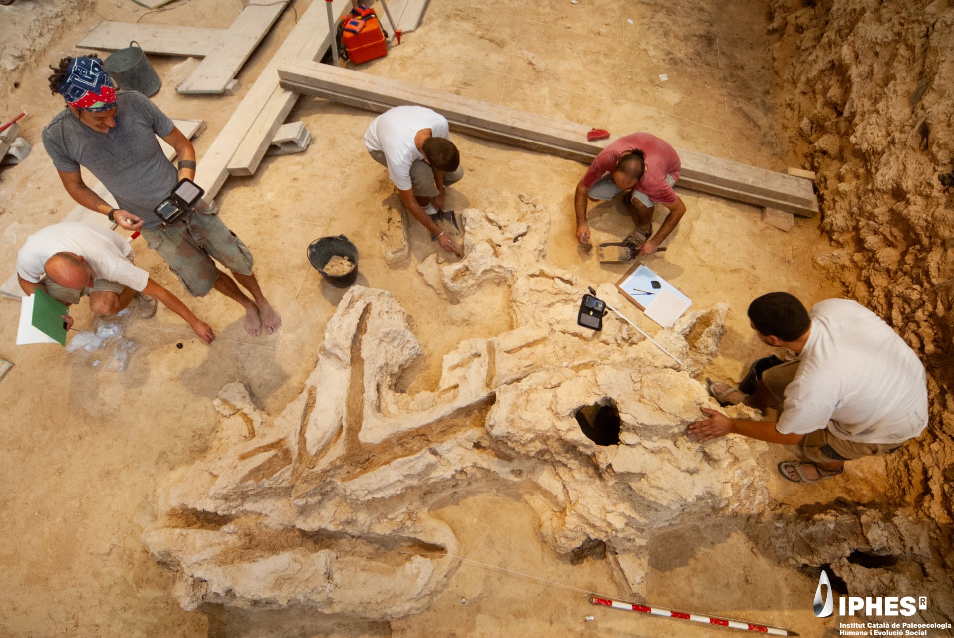 597 vestígios de madeira reconstroem a vida neandertal em abrigo espanhol ao longo de 20 mil anos