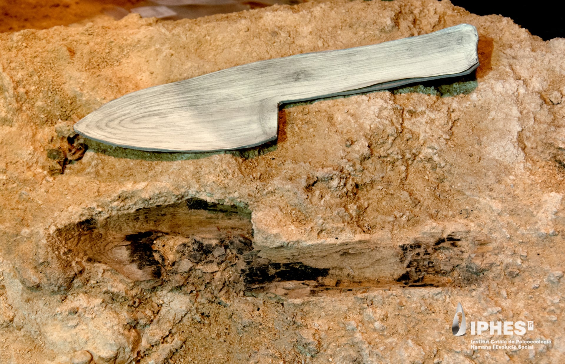 597 vestígios de madeira reconstroem a vida neandertal em abrigo espanhol ao longo de 20 mil anos