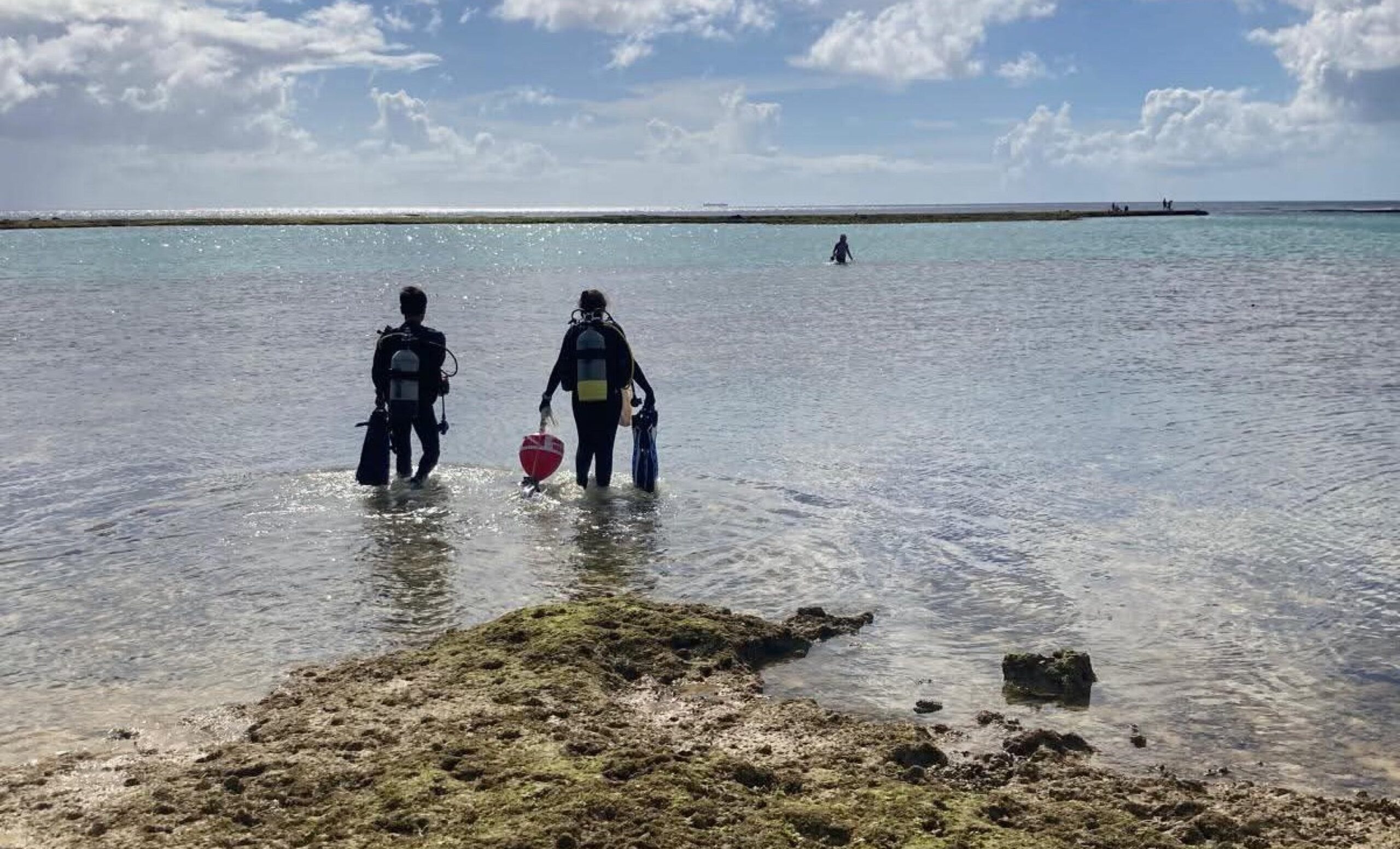 Peixes continuam abundantes em costas urbanizadas de Okinawa, mas genes revelam estresse crônico 3 Peixes continuam abundantes em costas urbanizadas de Okinawa, mas genes revelam estresse crônico
