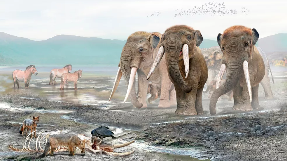 Ossos de animal com presas revelam abate humano no Chile há 13 mil anos e reabrem debate sobre as Américas 1 Ossos de animal com presas revelam abate humano no Chile há 13 mil anos e reabrem debate sobre as Américas
