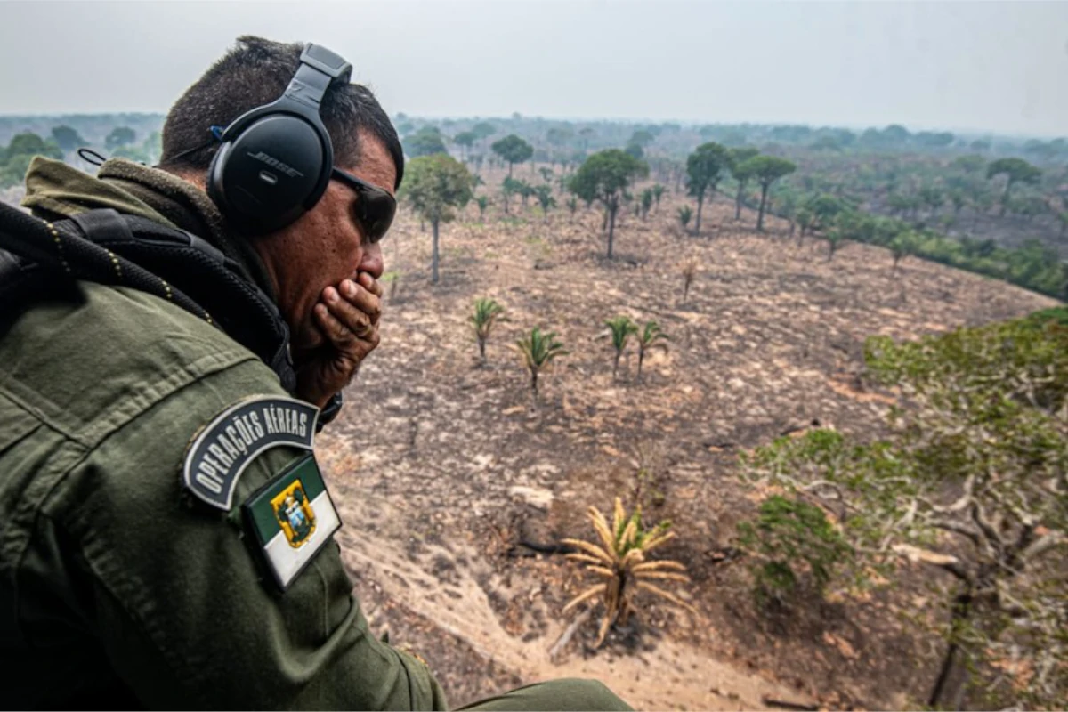 Incêndios no Amazonas dobram em 2026, atingem terra Mura e levam 11 aeronaves a uma região sob alerta 1 Incêndios no Amazonas dobram em 2026, atingem terra Mura e levam 11 aeronaves a uma região sob alerta
