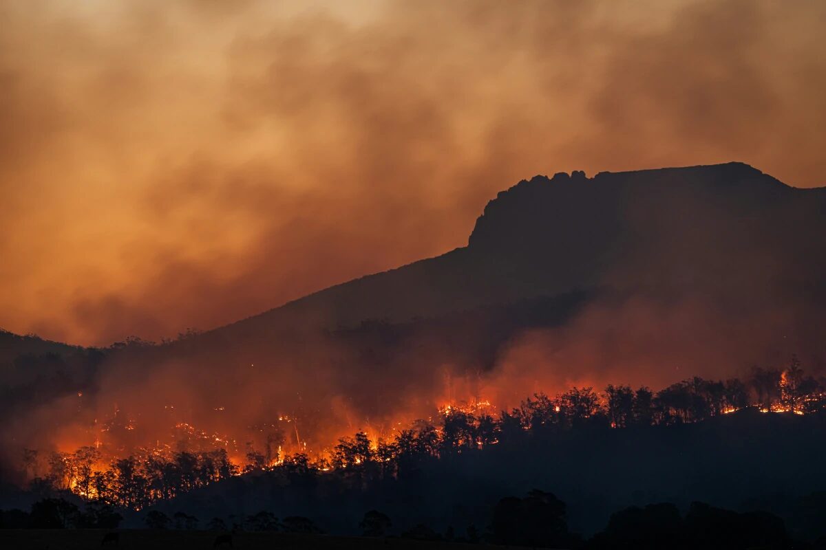 Incêndios no Amazonas dobram em 2026, atingem terra Mura e levam 11 aeronaves a uma região sob alerta 2 Incêndios no Amazonas dobram em 2026, atingem terra Mura e levam 11 aeronaves a uma região sob alerta