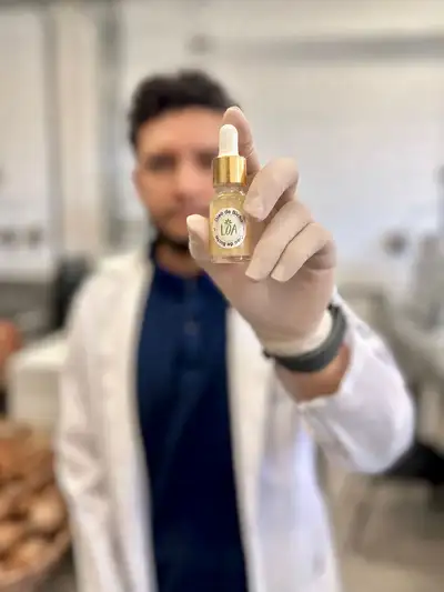 Larvas de besouro do tucumã viram óleo medicinal no Marajó e pesquisadores comparam três formas de extração em estudo publicado na ACS Omega 2 Larvas de besouro do tucumã viram óleo medicinal no Marajó e pesquisadores comparam três formas de extração em estudo publicado na ACS Omega