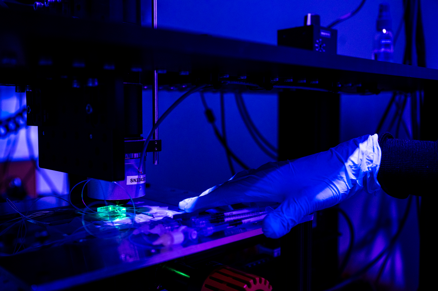 Cientistas acompanham neurônio por neurônio o cérebro de vermes de 1 milímetro e veem que machos e hermafroditas percebem cheiros de modo distinto 2 Cientistas acompanham neurônio por neurônio o cérebro de vermes de 1 milímetro e veem que machos e hermafroditas percebem cheiros de modo distinto