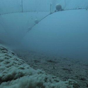 O fundo do mar entra no check-up da saúde do planeta Rede de arrasto de fundo em operação levanta nuvem de sedimentos no leito marinho