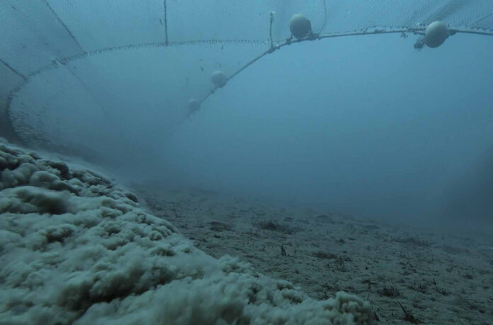 O fundo do mar entra no check-up da saúde do planeta Rede de arrasto de fundo em operação levanta nuvem de sedimentos no leito marinho