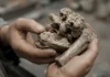 Descoberta de espécie única de dinossauro nos Bocas do Ródano evoca Jurassic World na França
