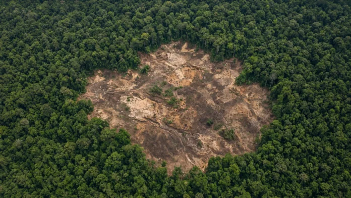 garimpo-xingu-flona-altamira-832-hectares-jpg