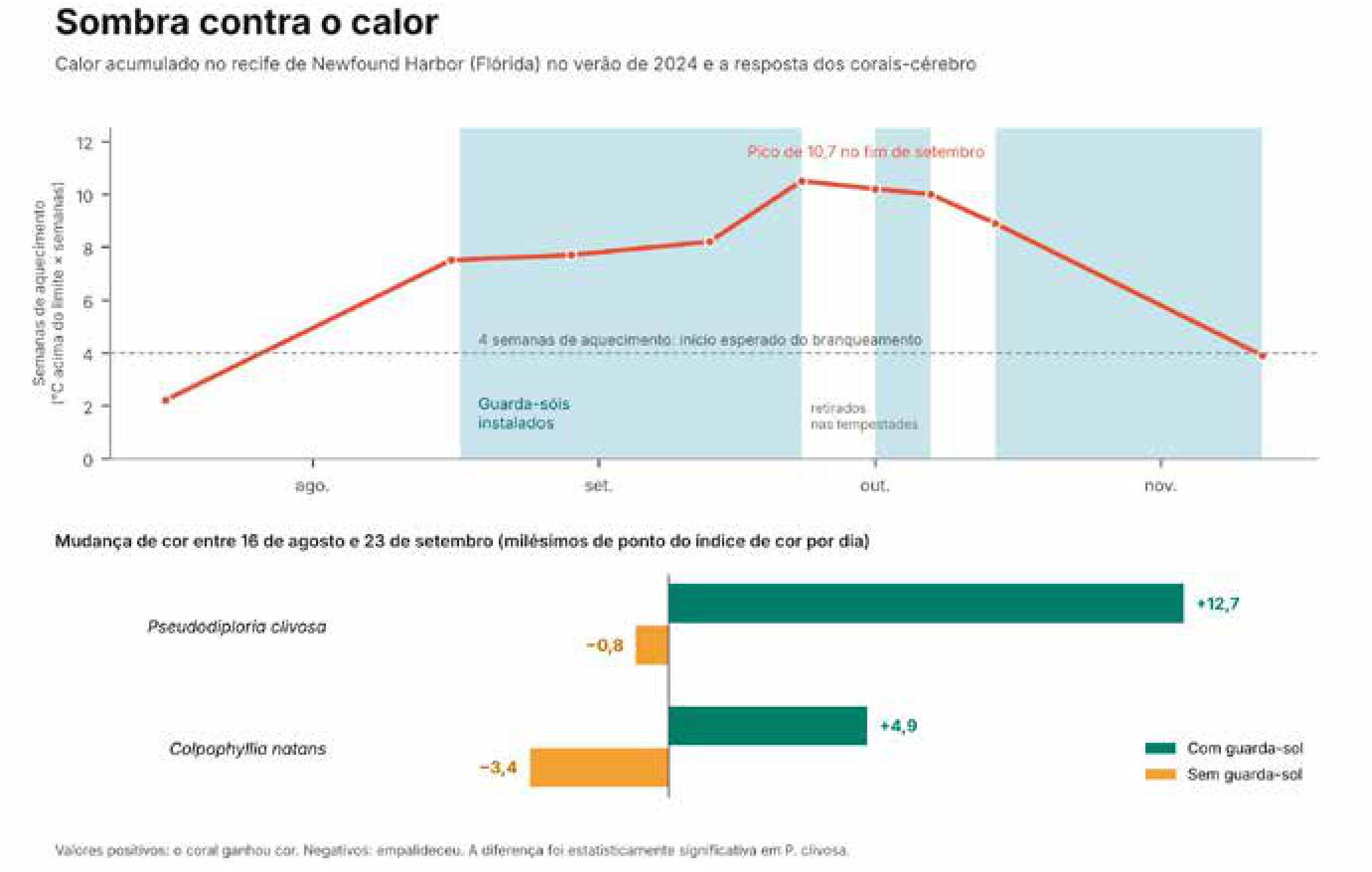 Calor acumulado em Newfound Harbor no verão de 2024, com os períodos em que as telas ficaram instaladas, e a mudança de cor dos corais na fase mais quente. Os protegidos ganharam cor; os expostos empalideceram.