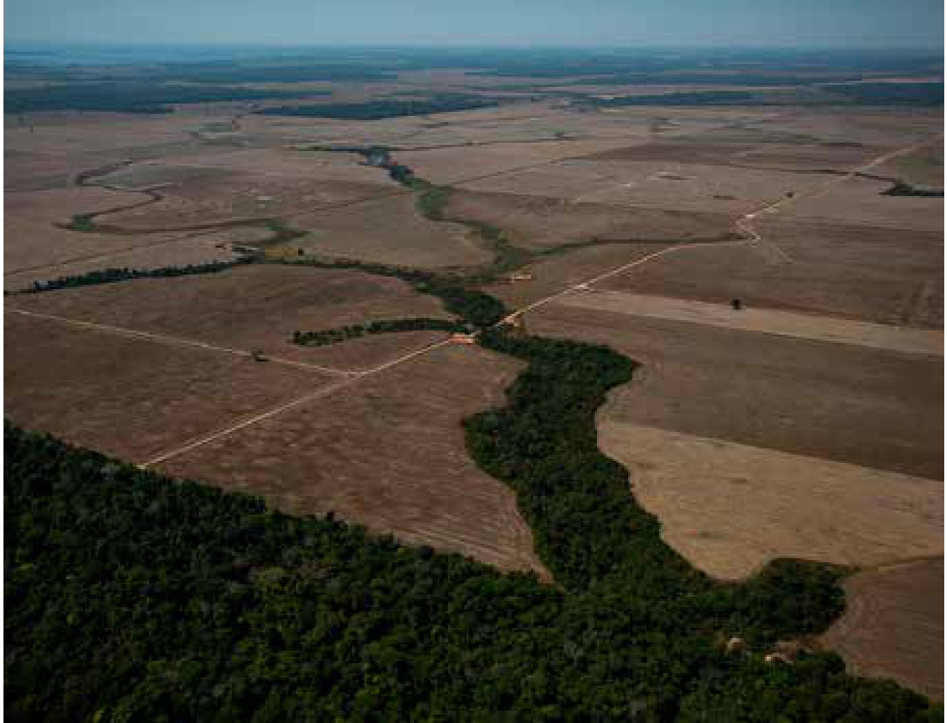 Mudanças rápidas de temperatura embaralham espécies em terra, rios e mar 3 Área desmatada e preparada para monocultura ou pecuária perto de Porto Velho (RO), em agosto de 2020. Paisagens uniformes e alteradas pelo ser humano oferecem poucos refúgios de temperatura, condição que o estudo associa a uma troca de espécies mais rápida.