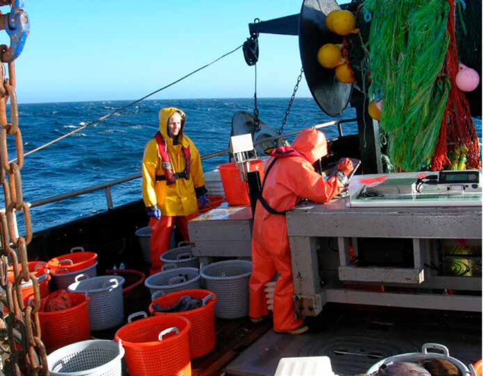 Mudanças rápidas de temperatura embaralham espécies em terra, rios e mar Pesquisadoras de roupa impermeável registram a captura de peixes no convés de um barco de pesquisa da NOAA em alto-mar