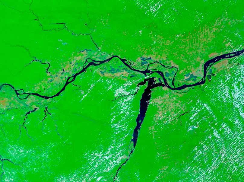 Encontro do rio Tapajós com o Amazonas, junto a Santarém (PA), em 23 de outubro de 2024, visto pelo sensor Modis do satélite Aqua. As manchas azul-claras ao redor do Amazonas são águas muito rasas em áreas que nessa época costumam estar alagadas.