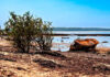Pacífico e Atlântico avisam calor extremo na Amazônia até sete meses antes Barco encalhado na praia do Maracanã, em Santarém (PA), durante a seca de 2023