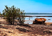 Pacífico e Atlântico avisam calor extremo na Amazônia até sete meses antes Barco encalhado na praia do Maracanã, em Santarém (PA), durante a seca de 2023