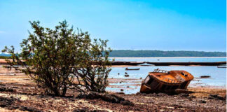 Pacífico e Atlântico avisam calor extremo na Amazônia até sete meses antes Barco encalhado na praia do Maracanã, em Santarém (PA), durante a seca de 2023