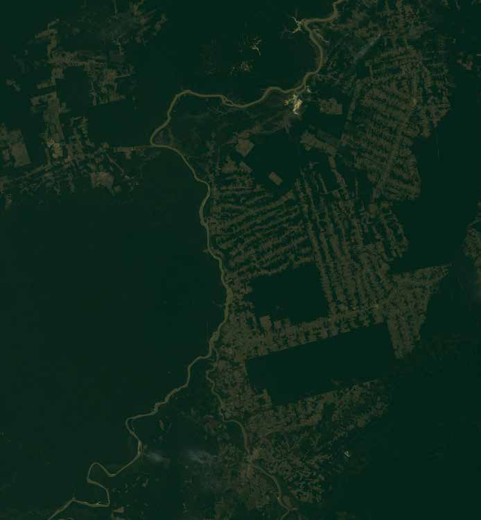 Restaurar ecossistemas enfrenta juntas as crises do clima e da biodiversidade 2 Imagem do satélite Landsat 8, de julho de 2016, mostra faixas de floresta convertidas em lavoura e pasto às margens do rio Madeira, na região de Abunã, em Rondônia. A América do Sul tem a maior extensão de terras convertidas identificadas no estudo.