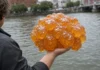 Saco laranja brilhante de 2 metros vira ‘blob’ vivo e confunde ecologistas ao ser puxado de rio