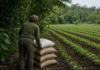 França, Colômbia e Finlândia lideram esforço para redirecionar cerca de R$ 2,7 trilhões anuais de subsídios que destroem a biodiversidade