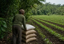 França, Colômbia e Finlândia lideram esforço para redirecionar cerca de R$ 2,7 trilhões anuais de subsídios que destroem a biodiversidade