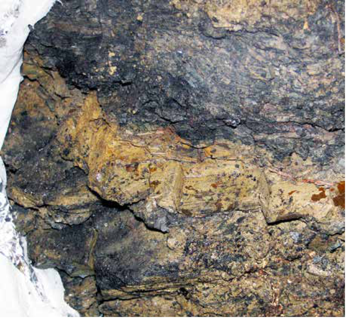 Camada de argila que marca o limite entre o Cretáceo e o Paleógeno (faixa clara ao centro), na Formação Raton, Colorado (EUA). Ela registra a extinção de 66 milhões de anos atrás, que acabou com os dinossauros não avianos.