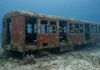 Eles limpam os vagões vermelhos do metrô e os afundam no Atlântico para escapar da conta de demolir, e a vida marinha transforma os trens em cidades subaquáticas entre os habitats artificiais mais ricos da costa