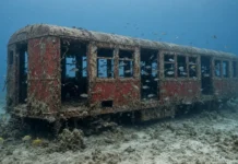 Eles limpam os vagões vermelhos do metrô e os afundam no Atlântico para escapar da conta de demolir, e a vida marinha transforma os trens em cidades subaquáticas entre os habitats artificiais mais ricos da costa