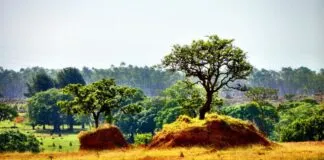 110b92ef 68cd 4c73 A212 3cb0a8e54490