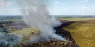 B06d20cc 6e7c 47ba A6c3 32a6a6c9639d