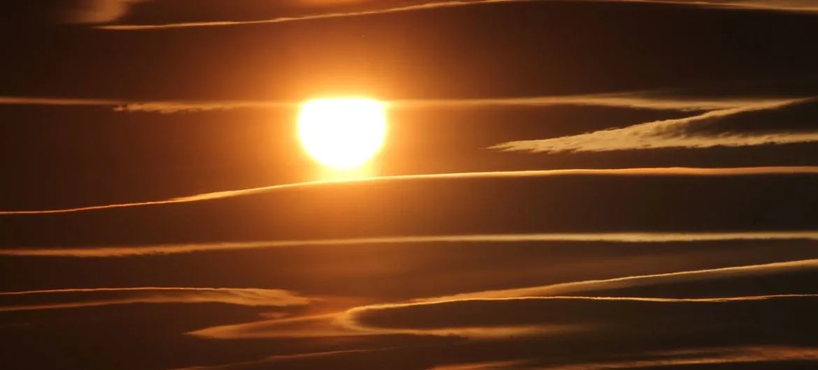 Image1170x530cropped 3 1