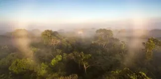 2752f443 0d16 4421 8a9b B6faa66eba2a