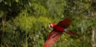 4f11e54b C70e 457c Ab93 5a0f5b6b4cf3