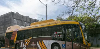 53106815627 A87be57613 O