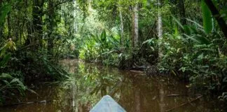 WhatsApp Image 2023 08 22 At 14.51.00