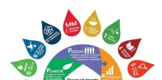 WhatsApp Image 2023 08 27 At 08.07.32