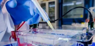 Cientista Conduzindo O Processo Biologico De Eletroforese Em Gel Como Parte Da Pesquisa Com Coronavirus