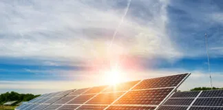 Shutterstock 662045977 1024x683 1