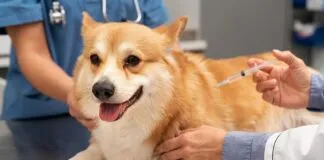 7a65f135 B2ff 4b27 8b5d 28b7ec355f06