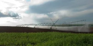 8c33c1f8 2f1a 4fae A683 C5b6faf9e549